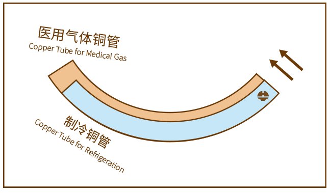 NG28-不凡成就非凡,相信品牌的力量