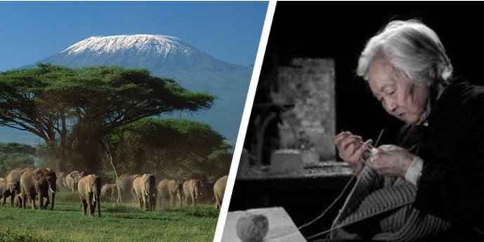 NG28-不凡成就非凡,相信品牌的力量