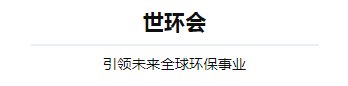 NG28-不凡成就非凡,相信品牌的力量